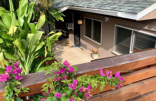 Diamond Head - Kapahulu - St. Louis Cabaña | Diamond Head/Waikiki Surf Shack Lanai Unit