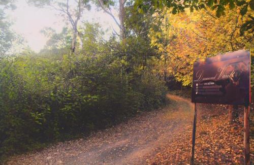 Hogsback Otro | Diamond Vault Rustic Mountain Cabins