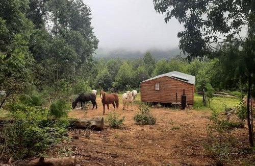 Hogsback Otro | Diamond Vault Rustic Mountain Cabins
