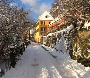 Loschwitz Apartamento | Dichterhaus Dresden