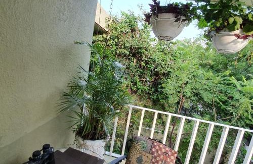 Chapalita Casa | Dickinson Guest House, Guadalajara Expo