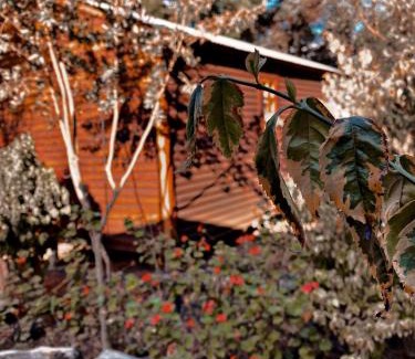 Rayton Casa | Die Boskombuis en Gastehuis