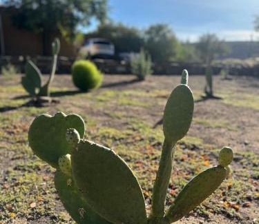 Sutherland Casa | Die Tabakhuis - Karoo (Sutherland)