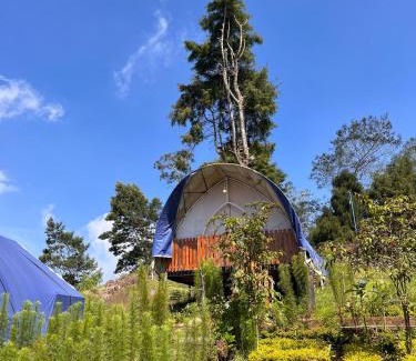 Dieng Kulon Otro | Dieng glamping syari'ah