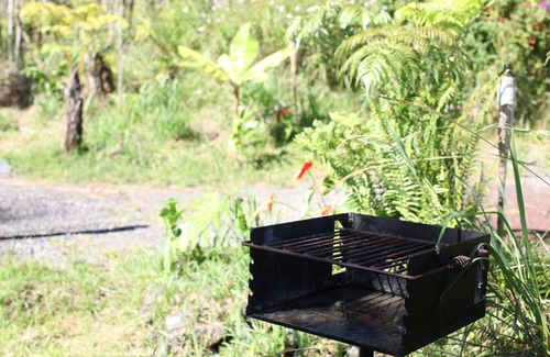 Fern Forest Casa | Digital Detox, Body-Positive Eco Retreat Center, Cabins #2 and #3