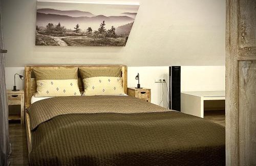 Rust Apartamento | Dilger Apartments