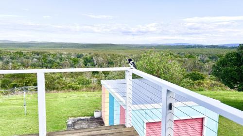 Angourie Casa | Dilkara, In The Heart Of Angourie