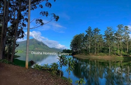 Hatton Cama Y Desayuno | Dilusha Home Stay