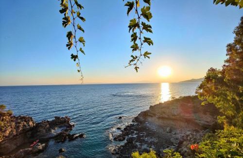 Stoupa Casa | Dimitra's Studios