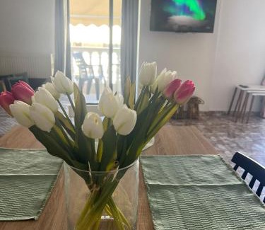 Nea Moudania Apartamento | Dimitris Family Apartment
