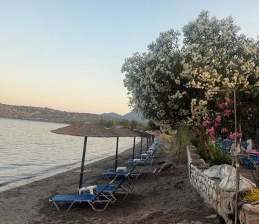 Karvelas Apartamento | Dimitris rooms kamares 1