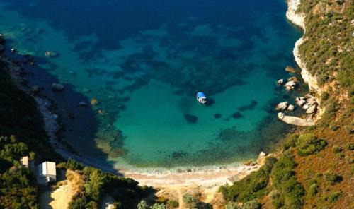 Patitiri Apartamento | Dina's Flowers - Alonnisos Summer Havens