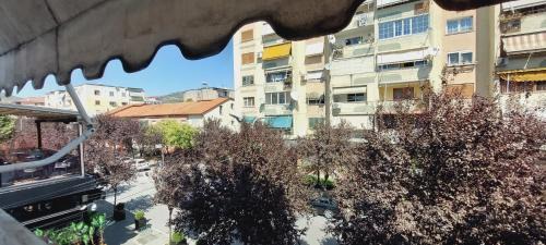 Elbasan Cama Y Desayuno | Dinamo Bed&Breakfast