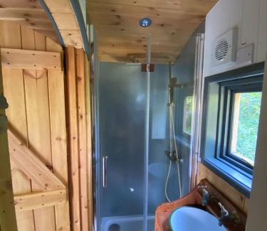 Liverton Apartamento | Dingle Glenn secluded woodland cabin