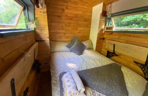 Liverton Apartamento | Dingle Glenn secluded woodland cabin