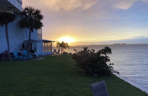 Dunedin Casa | Direct waterfront home on the Gulf of Mexico. Dunedin.