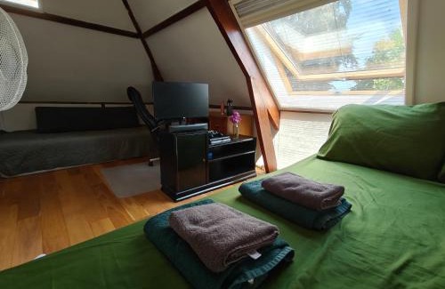 Tilburg Casa | Directors room Swimmingpool Ecolodge Tilburg