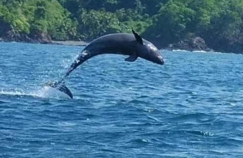 Santa Catalina Otro | Discover Coiba Panama Tour