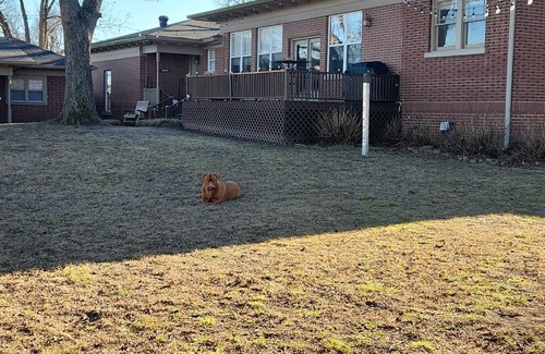 Russellville Casa | Discover Dardanelle charm, steps away from Arkansas River