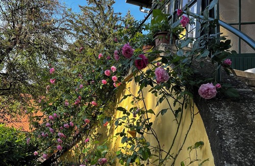 Szentendrei Apartamento | Discover Serenity: Stay at Our Visegrád Apartment!