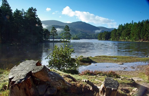 Aviemore Casa | Discover the charm of Munro View, a delightful two-bedroom semi-detached single-storey property that