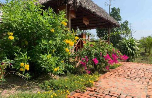 Phong Dien Casa | Discovery Mekong local's life - Breakfast TwoBoatTours Included for 2nights