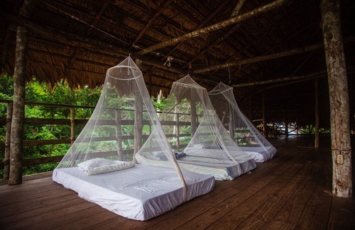 Bratsi Hotel | Ditsowou Lodge & Tours