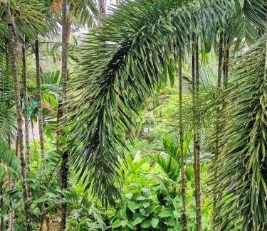 Dominical Hotel | Diuwak