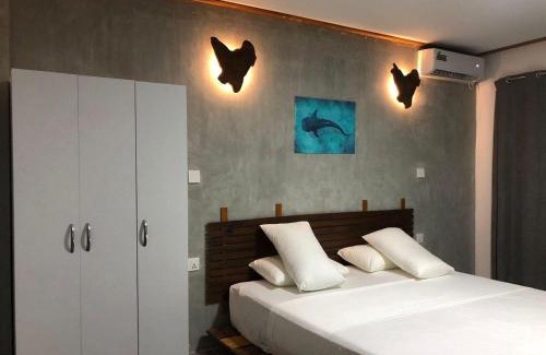 Dhidhdhoo Hotel | Dive and Sleep - All Inclusive Diving Guesthouse - 3 Dives per day