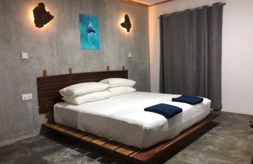 Dhidhdhoo Hotel | Dive and Sleep - All Inclusive Diving Guesthouse - 3 Dives per day