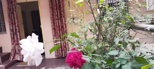 Puri Apartamento | Divine view - 1 bhk AC - Swarna Bhavan