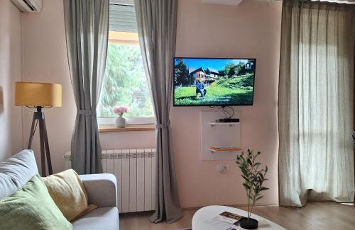 Arandelovac Apartamento | Divna