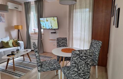 Arandelovac Apartamento | Divna