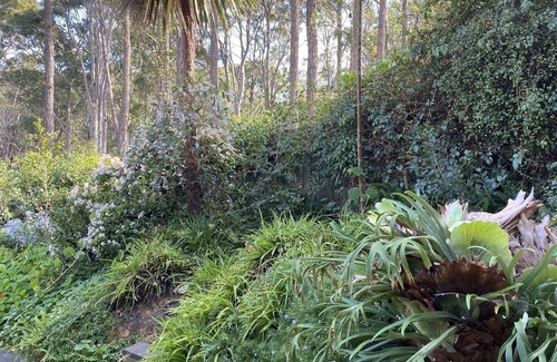 Dalmeny Casa | Dixie Margaret Surf Shack & MTB Trail Bikers Narooma
