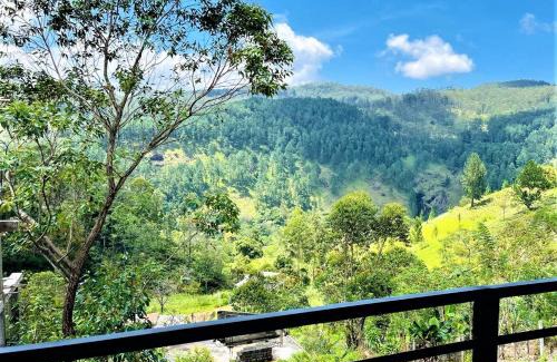 Ella Cabina | Diyon'S Lodge