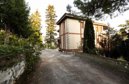 Trabzon Villa | Doğa ile iç içe