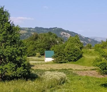 Savnik Apartamento | -DO- Gradac