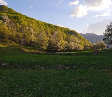 Savnik Apartamento | -DO- Gradac