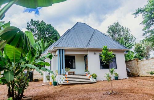 Moshi Casa | Dodo homes