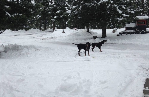 Seeley Lake Casa | Dog and horse friendly property in Seeley Lake, MT, minutes drive to beaches