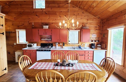 Sunday River Area Cabina | Dog Friendly Cabin w/ Hot Tub & Stunning Views!