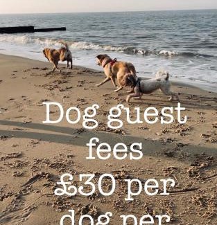 Irstead Casa | Dog friendly cottage 2 mins to beach with hot tub and Zappi EV