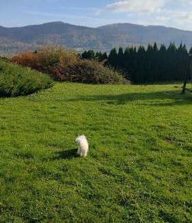 Gorki Mae Apartamento | Dog friendly Dom, apartamenty Wichrowe Wzgórza z basenem Brenna