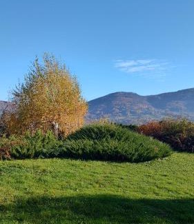 Gorki Mae Apartamento | Dog friendly Dom, apartamenty Wichrowe Wzgórza z basenem Brenna