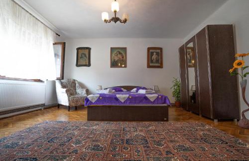 Alba Iulia Apartamento | Doi Bujori