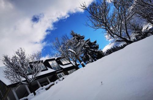 Borsa Chalet De Esquí | Doinita House