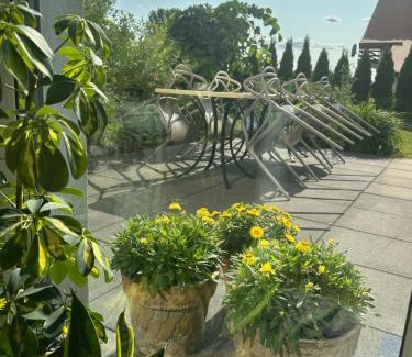 Konin Casa | Dom Konin