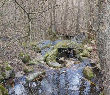 Dabrowno Casa | Dom na Końcu Świata Ostrowite Sauna i Ruska Bania