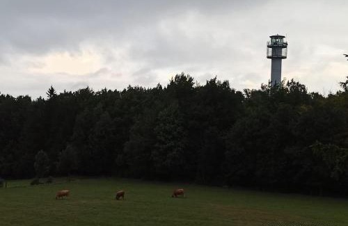 Dabrowno Casa | Dom na Końcu Świata Ostrowite Sauna i Ruska Bania