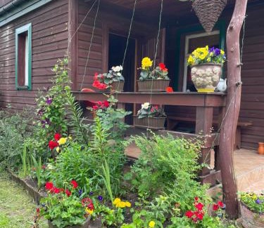 Narewka Casa | Dom na skraju Puszczy Białowieskiej